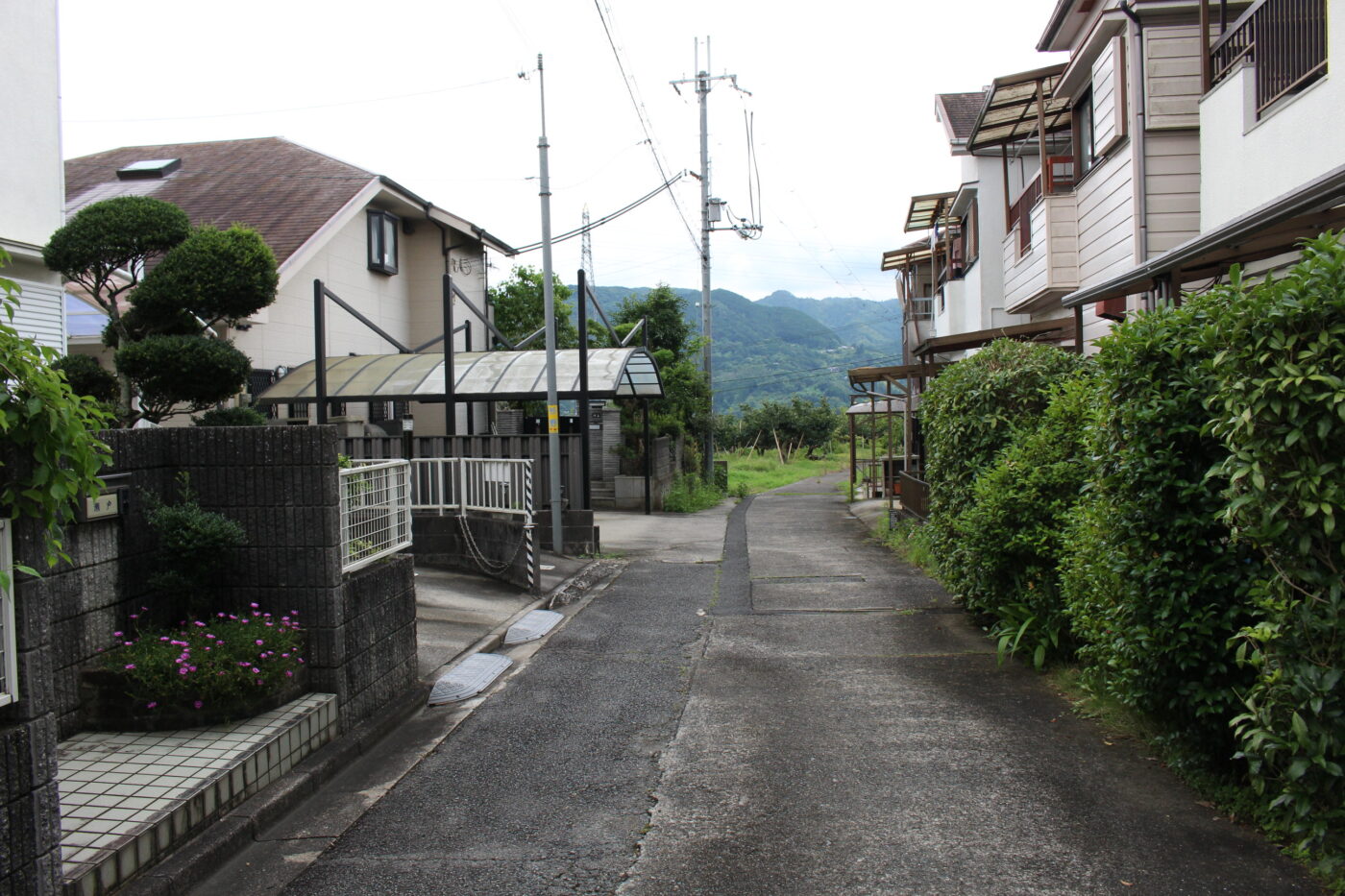 橋本市 原田（橋本駅） 2階建 ５ＬＤＫ